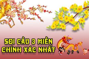 chốt cặp xíu chủ mt siêu cao cấp víp